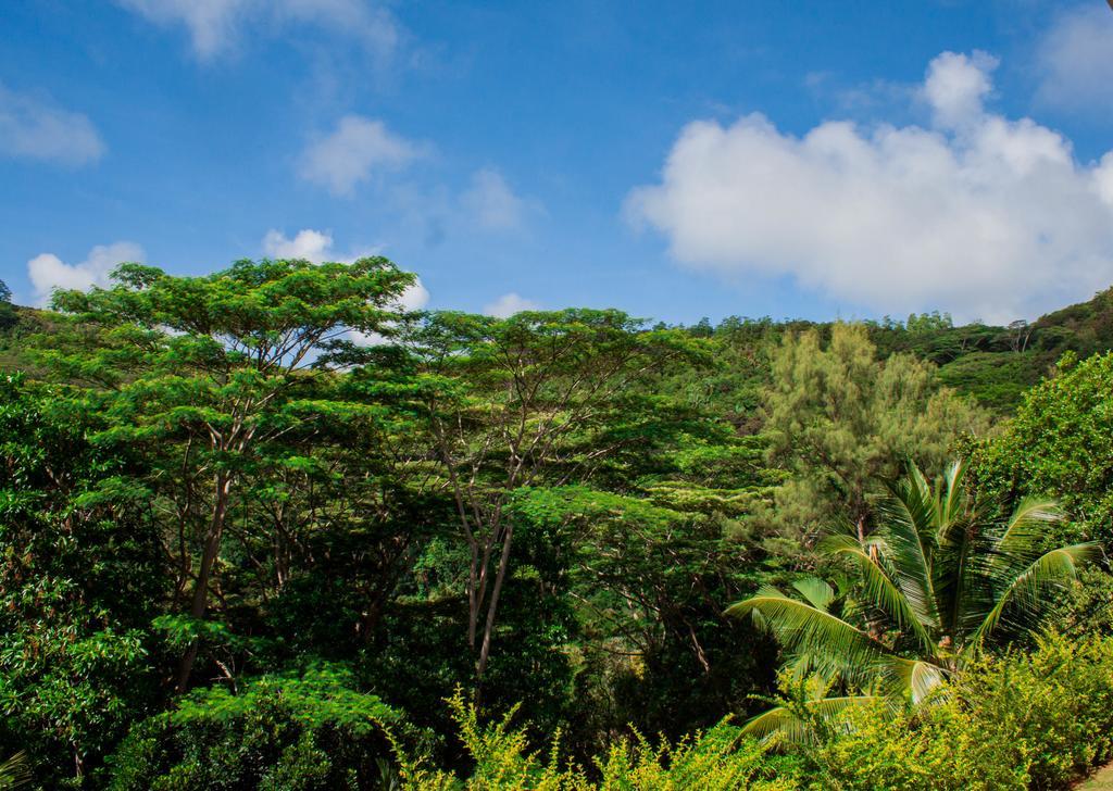 شقة Anse Royale Panorama View المظهر الخارجي الصورة